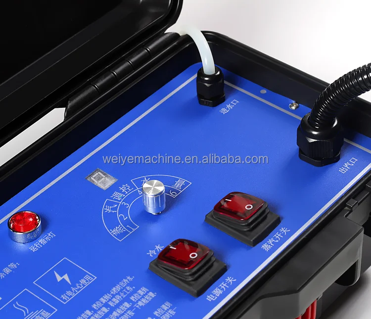 Commercial Industrial Tankless - Steam Cleaner Commercial 3000W 评论和价格