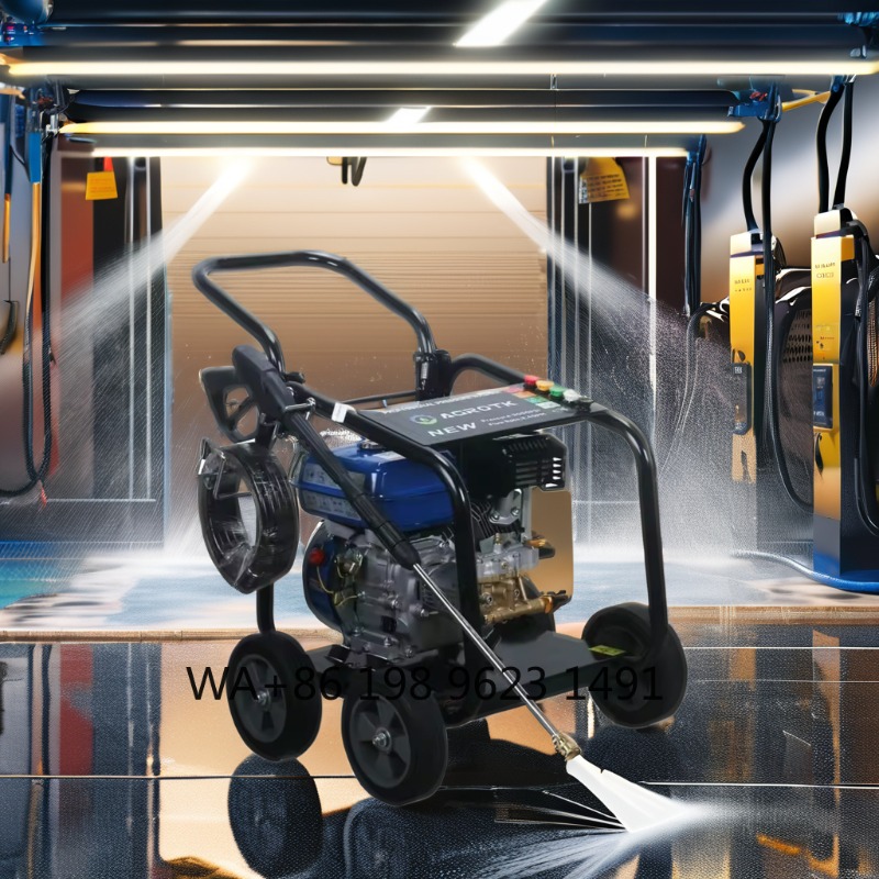 3000PSI Industrial Cold Water  - Pressure Washer 3000Psi 评论和价格