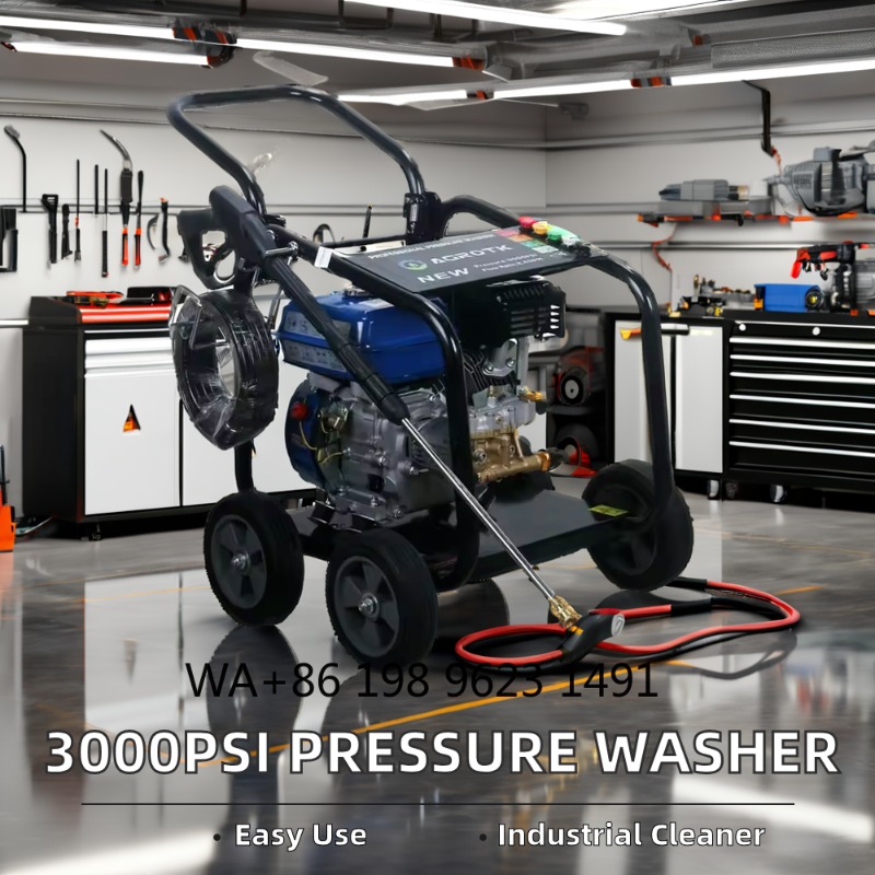 3000PSI Industrial Cold Water  - Pressure Washer 3000Psi 评论和价格