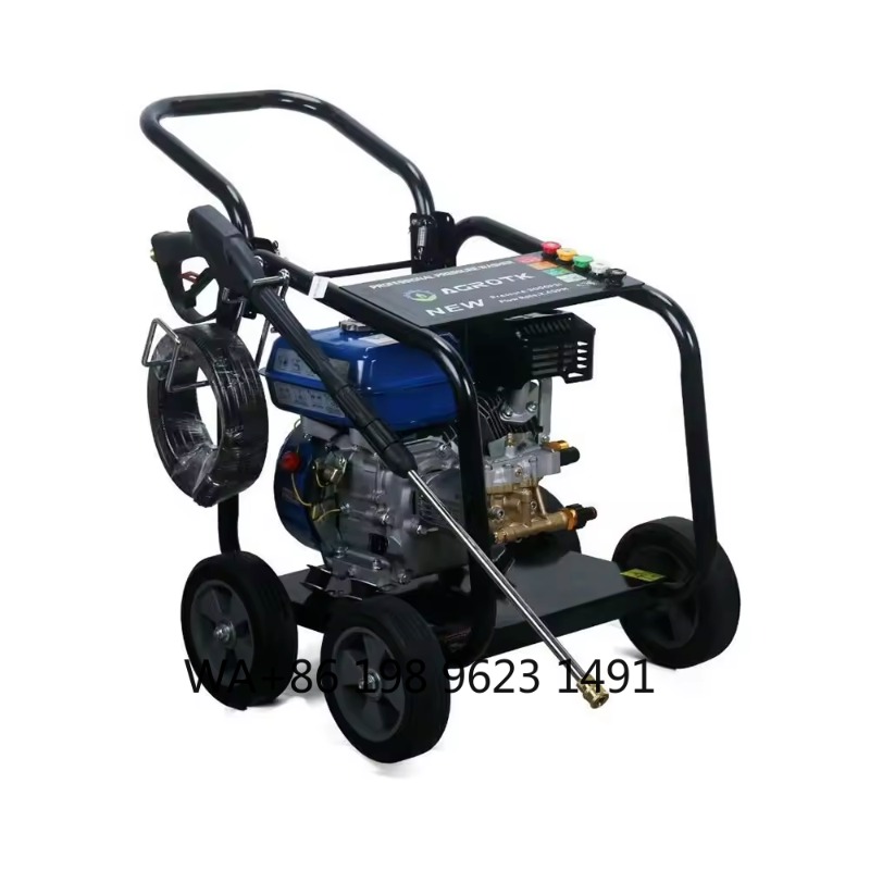 3000PSI Industrial Cold Water  - Pressure Washer 3000Psi 评论和价格