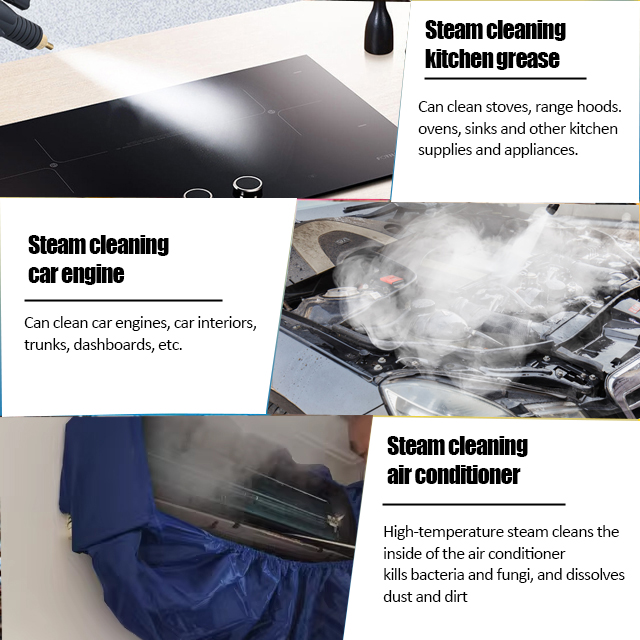 3000W Good Price Steam Shot Ha - Steam Cleaner Commercial 3000W 评论和价格