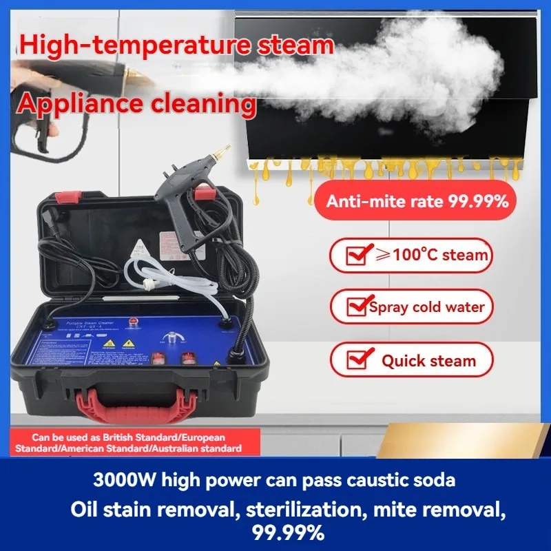 110V/220V High Temperature Ste - Steam Cleaner Commercial 3000W 评论和价格