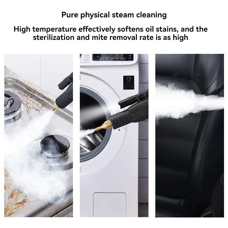 110V/220V High Temperature Ste - Steam Cleaner Commercial 3000W 评论和价格