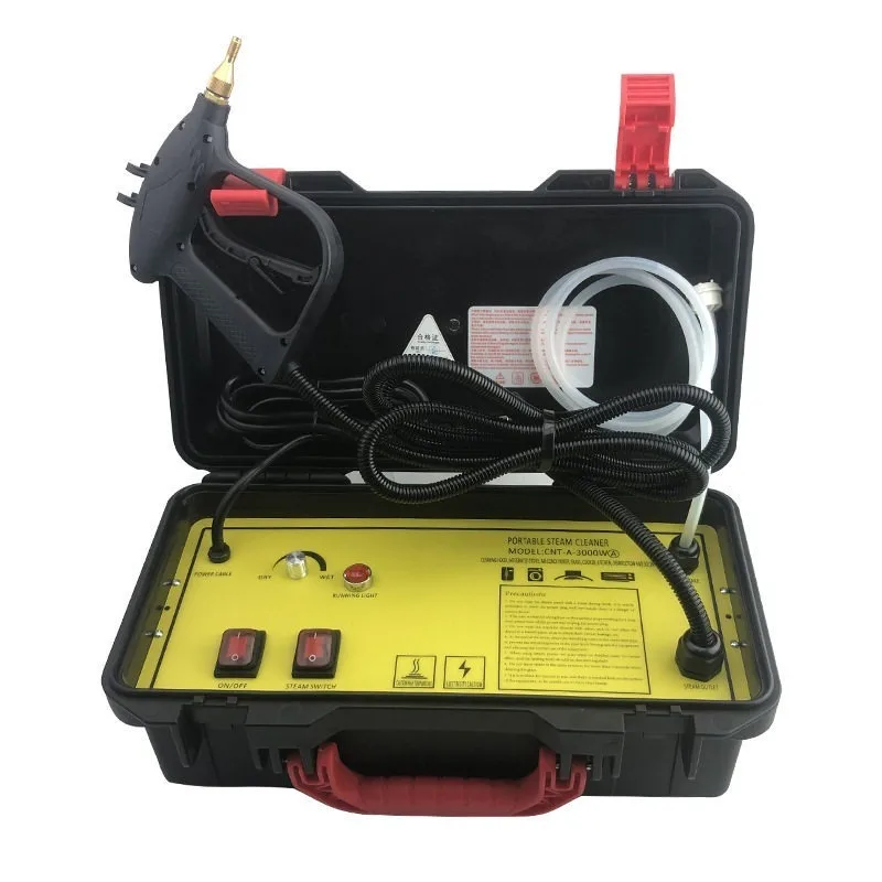 110V/220V High Temperature Ste - Steam Cleaner Commercial 3000W 评论和价格