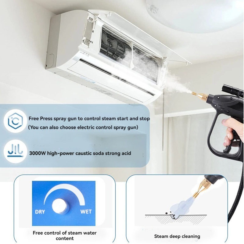 110V/220V High Temperature Ste - Steam Cleaner Commercial 3000W 评论和价格