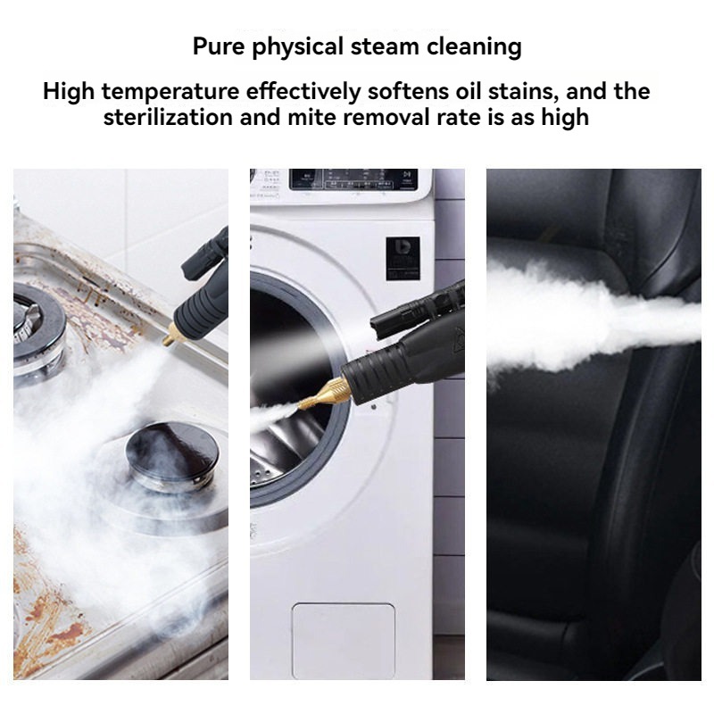 110V/220V High Temperature Ste - Steam Cleaner Commercial 3000W 评论和价格