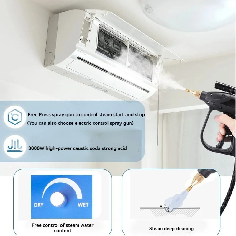 110V/220V High Temperature Ste - Steam Cleaner Commercial 3000W 评论和价格